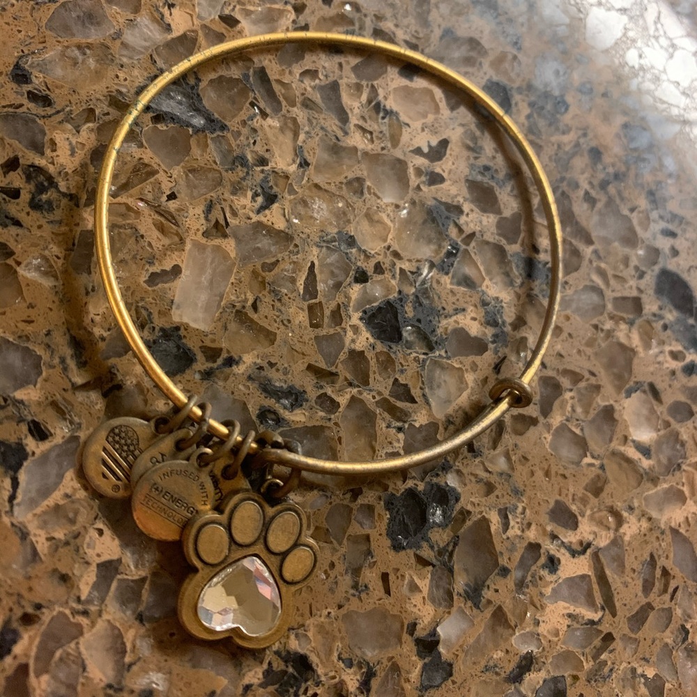 Alex & Ani Paw Print Bracelet 🐾